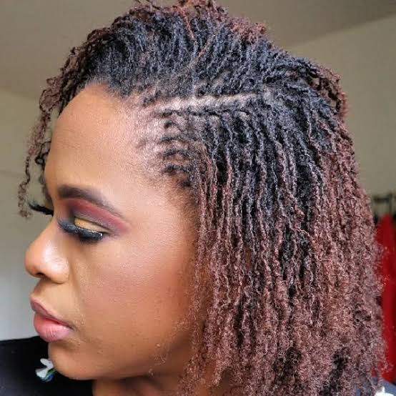 Retwisted Collarbone Micro Locs With Brown Highlights Retwisted Collarbone Micro Locs With Brown Highlights — Simple Starter Locs