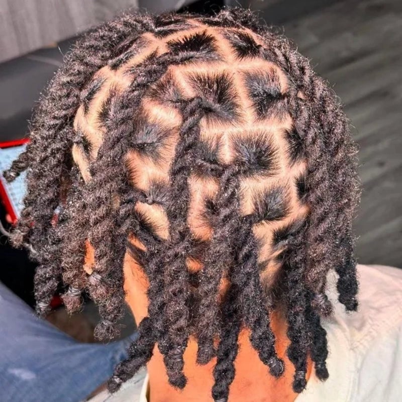 Collarbone Length Starter Locs Back View Collarbone Length Starter Locs Back View — Simple Starter Locs