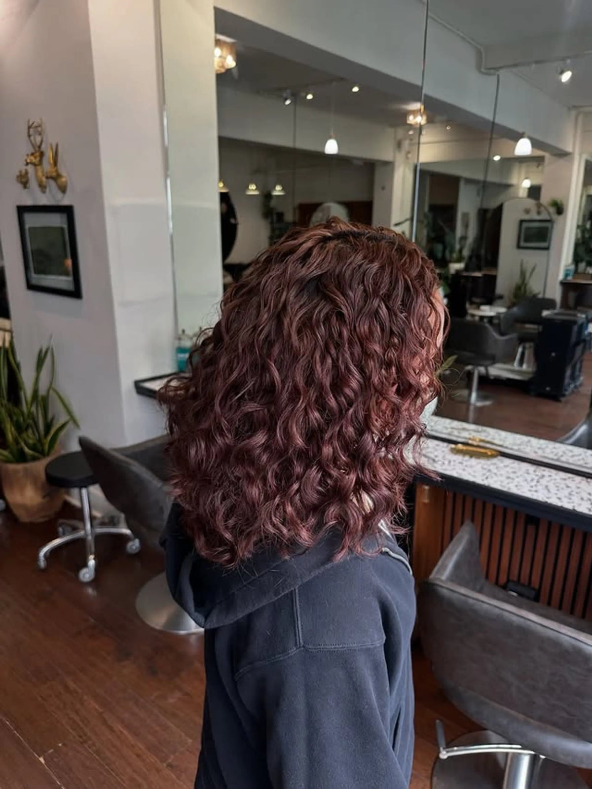 Collarbone Curls With Burgundy Tones — Trendy Brown Curly Hair