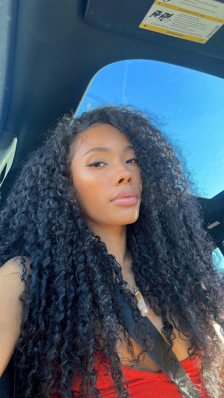 Mid-Back Black Coily Braids Mid-Back Black Coily Braids — Trendy Extensions Hair