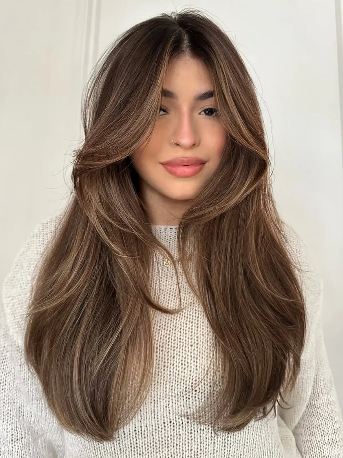 Mid-Back Medium Brown With Highlighted Layers — Trendy Rich Brunette