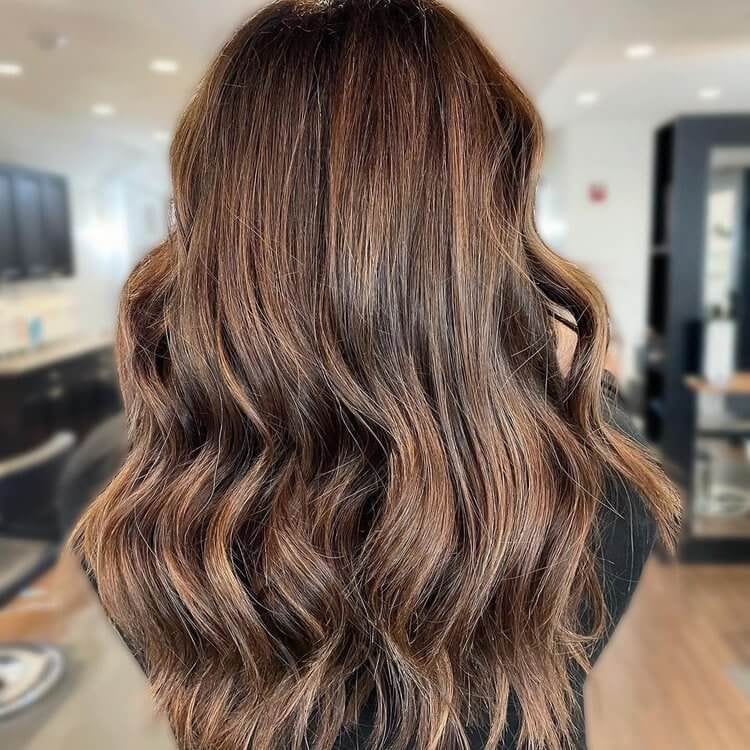Back View Glossy Multi-Tonal Brunette — Trendy Rich Brunette
