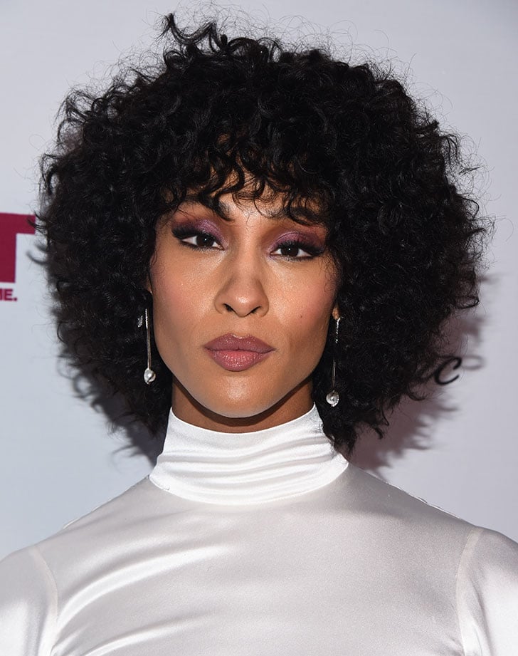 Voluminous Dark Curly Afro With Highlights Voluminous Dark Curly Afro With Highlights — Trendy Short Natural Hairstyles