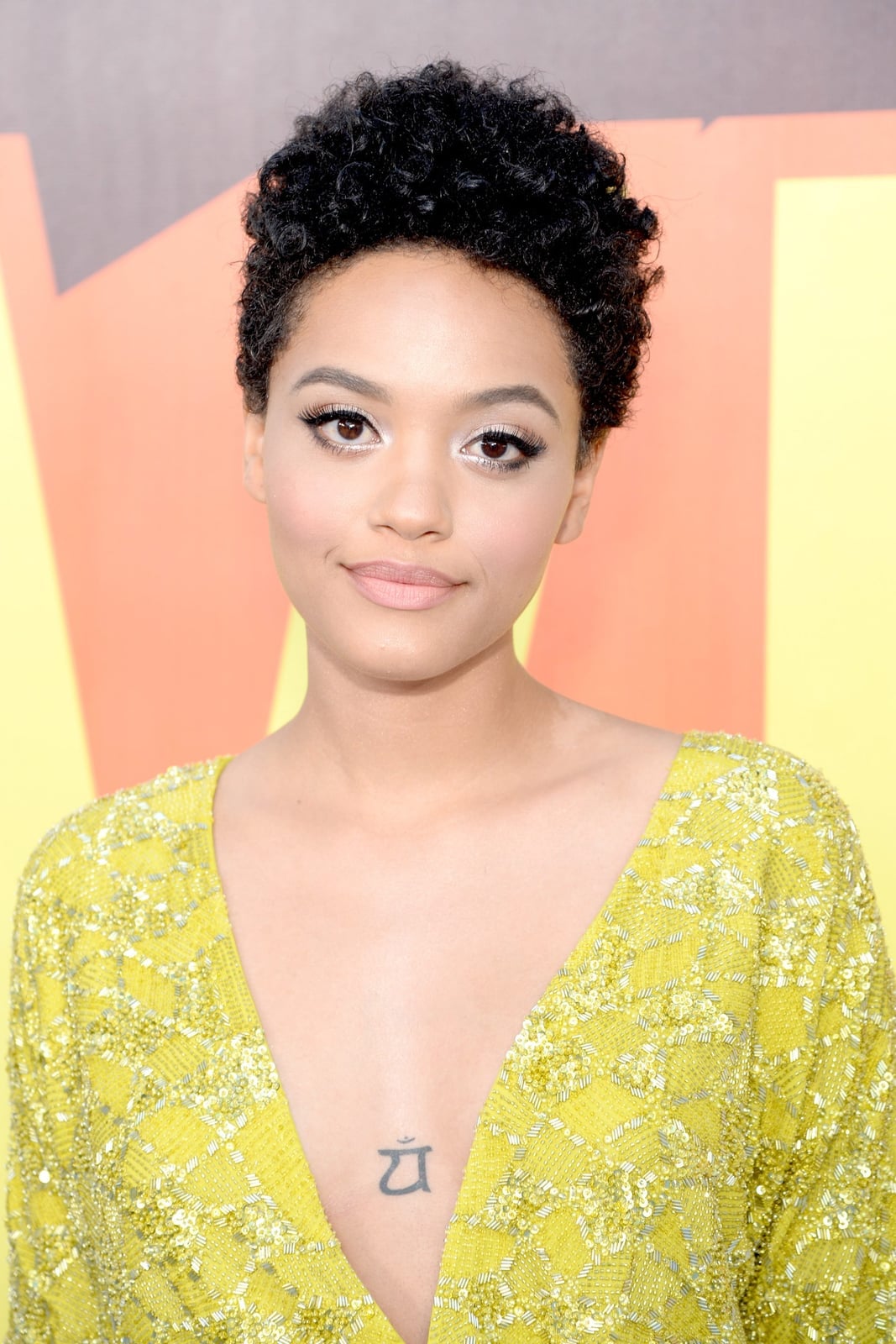 Air Dried Dense Black Curly Pixie Air Dried Dense Black Curly Pixie — Trendy Short Natural Hairstyles