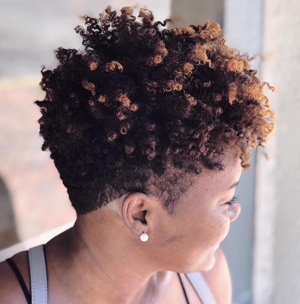 Dark Brown Curly Crop With Honey Highlights Dark Brown Curly Crop With Honey Highlights — Trendy Short Natural Hairstyles