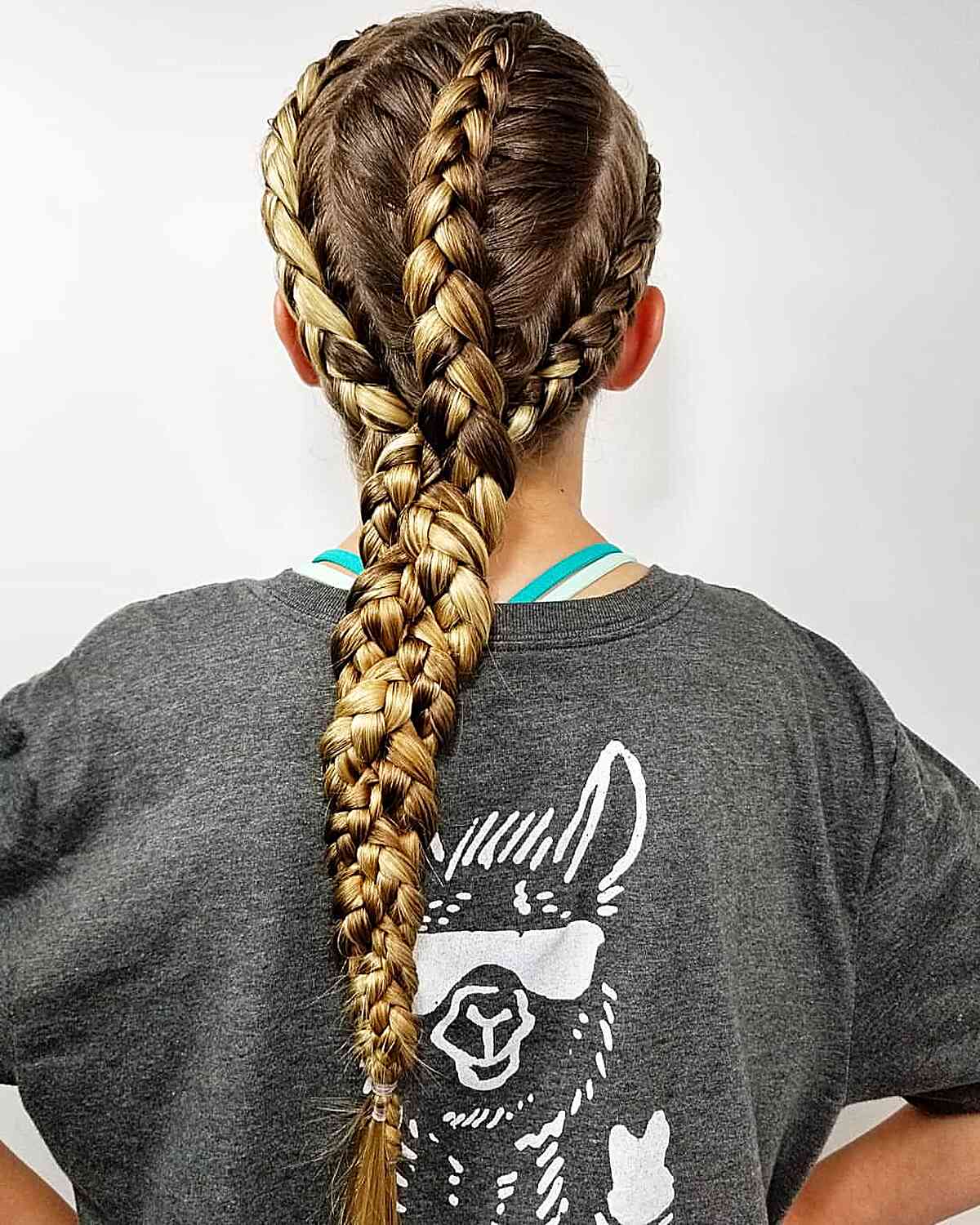 Blonde Double Braided Ponytails — Trendy Softball Hair